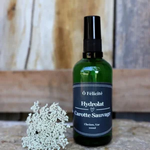 Carotte sauvage (Daucus Carota)