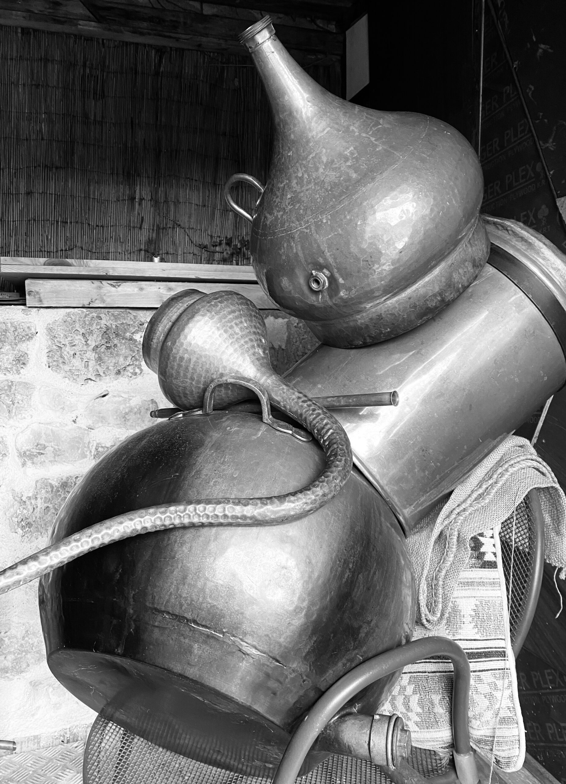 IMG-1938