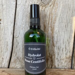 Rose Centifolia (Rosa Centifolia)